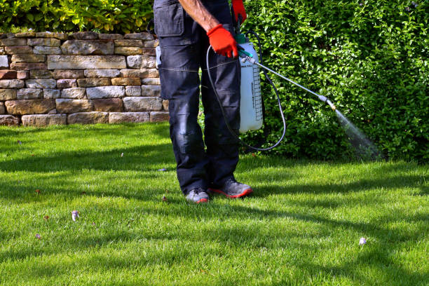 Emergency Pest Control in Vidalia, LA